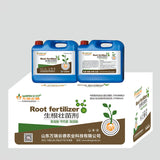 Rooting and seedling strengthening agent